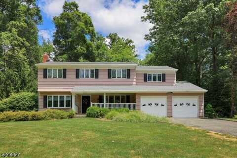 124 Lawrence Dr, Berkeley Heights, NJ 07922