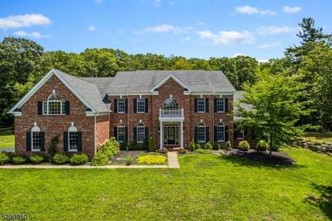 5 Crownview Ct, Sparta, NJ 07871