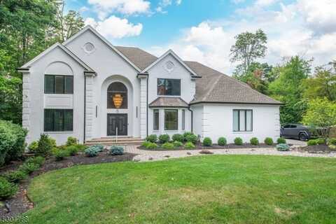 8 Woodshire Ter, Montville, NJ 07082