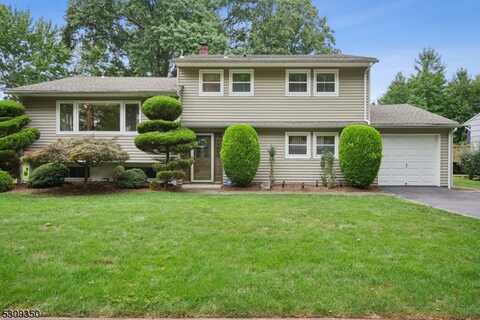 42 Sycamore Ter, Springfield, NJ 07081