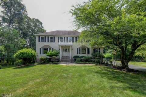 8 Joann Ct, Randolph, NJ 07869