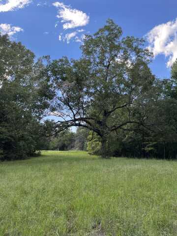 W Briar Lake Dr, Starkville, MS 39759