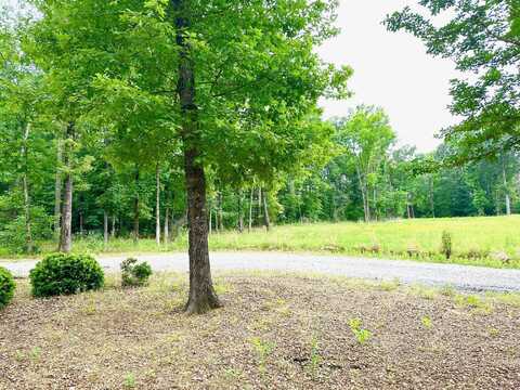 Champs Way Lot 6, Starkville, MS 39759