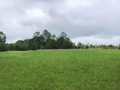 50 Country Estates Dr, Brooksville, MS 39739