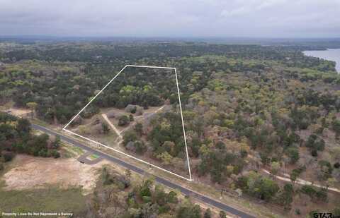 3719 Pine Wood Way (South 10 acres), LaRue, TX 75770