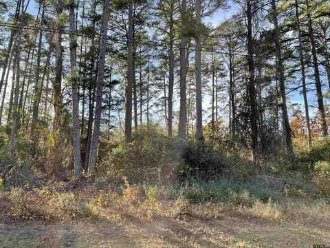 TBD Green Meadow Trail, Holly Lake Ranch, TX 75765