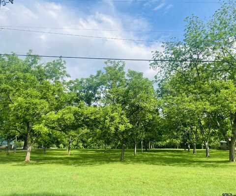 Lot 3 Pecan Gr. Pineda St., Jacksonville, TX 75766