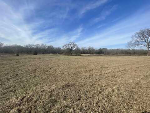 TBD CR 2320, Pittsburg, TX 75686