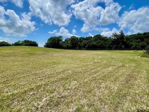 11501 County Road 1201, Athens, TX 75751