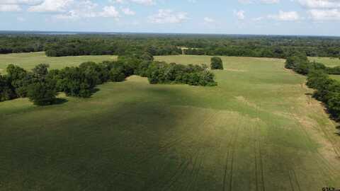 TBD 8 RS CR 3150, Emory, TX 75440