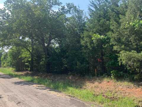 TBD CR 1660, Mount Pleasant, TX 75455