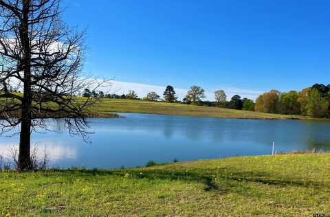 Lot 49 White Oak Creek Ranch, Big Sandy, TX 75755