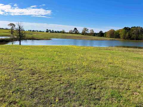 Lot 49 White Oak Creek Ranch, Big Sandy, TX 75755