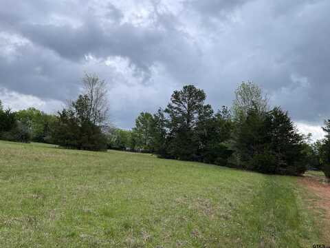 Lot 19 Hunters Hollow, Mount Vernon, TX 75457