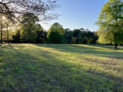 Lot 35 White Oak Creek Ranch, Big Sandy, TX 75755