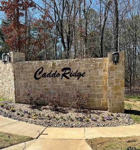 9295 Caddo Ridge Cove, Tyler, TX 75703