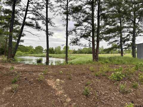 Lot 2 CR 3612, Brownsboro, TX 75756