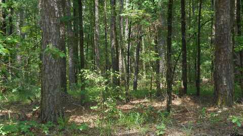 Lot 7 PR 8565, Winnsboro, TX 75494