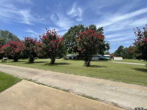 193 Blackjack Dr, Bullard, TX 75757