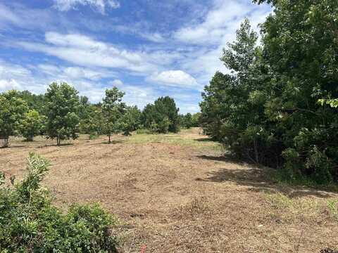 TBD 90 ACRES HIGHWAY 259, Henderson, TX 75654