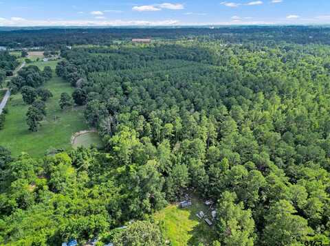 10114 C R 272, Tyler, TX 75707