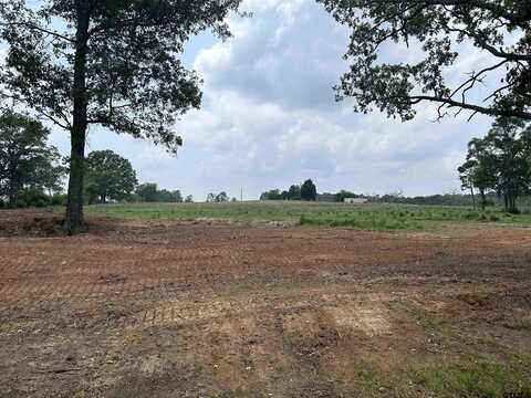 3.35 ACRES tbd COUNTY ROAD 2169, Troup, TX 75789