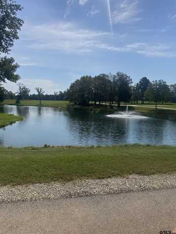 Lot 1 Deer Haven Road, Tyler, TX 75703
