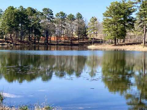 Lot 64 White Oak Creek Ranch, Big Sandy, TX 75755