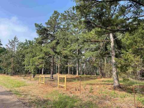 6 Acres County Road 1150, Tyler, TX 75704