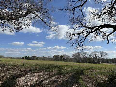 TBD LOT 2 COUNTY ROAD 401, Henderson, TX 75654