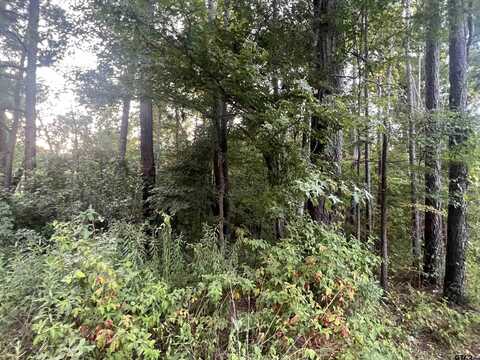 TBD Cedarwood Trail, Gilmer, TX 75645