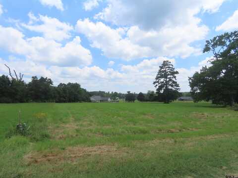 544 VZ County Road 4816, Ben Wheeler, TX 75754