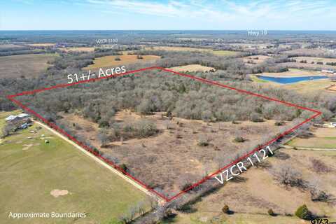 51.72+/- Acres VZ CR 1121, Grand Saline, TX 75140