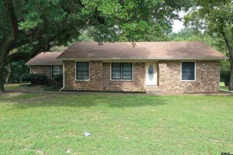 12 PECAN GROVE, Pittsburg, TX 75686