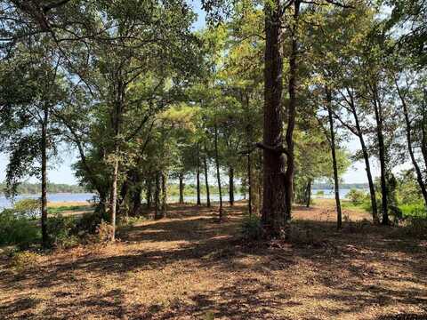 3196 Shadow Pine Lot 46, LaRue, TX 75770