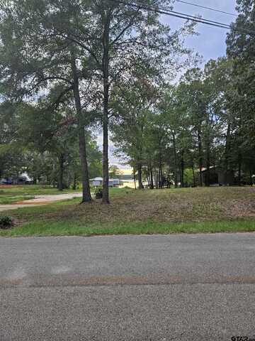 TBD W Lakeview Dr Lot 135, Troup, TX 75789