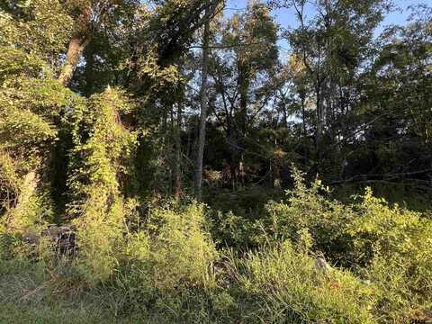 TBD Cedarwood Trail, Gilmer, TX 75645