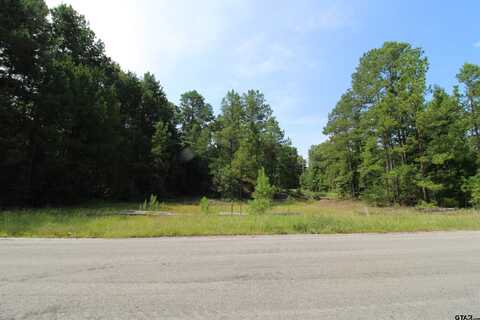 TBD CR 285, Tyler, TX 75707