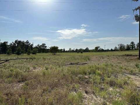 Lot 1 CR 3612, Brownsboro, TX 75756