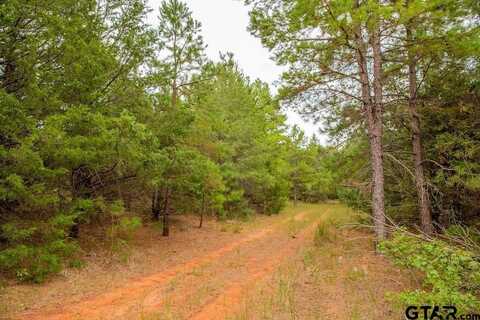 16092 CR 440, Lindale, TX 75771