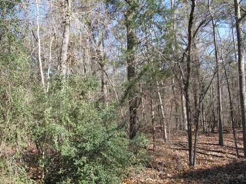 to be determine County Rd 2337, Tyler, TX 75707