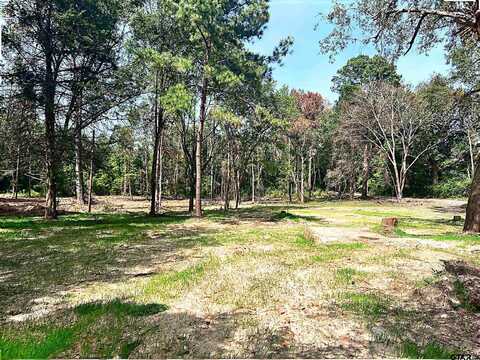 513 E SH 323, Overton, TX 75684