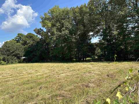 TBD County Road 2115 Lot 1, Troup, TX 75789
