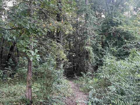 TBD Willowood Trail, Gilmer, TX 75645