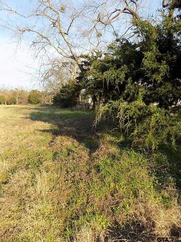 TBD Rains County Road 3410, Emory, TX 75440