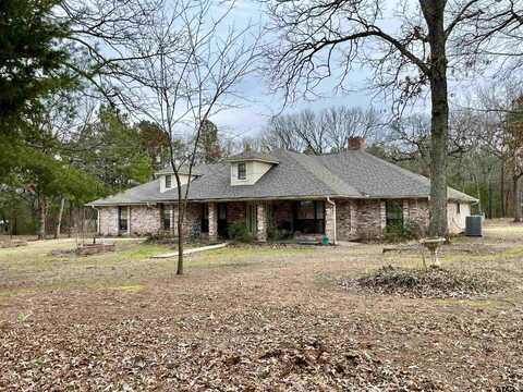 8522 E Hwy 67, Cookville, TX 75558