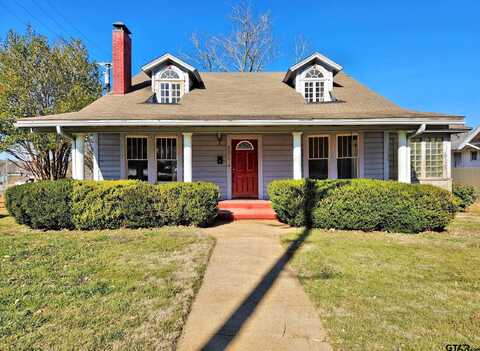 501 E Park Ave, Palestine, TX 75801