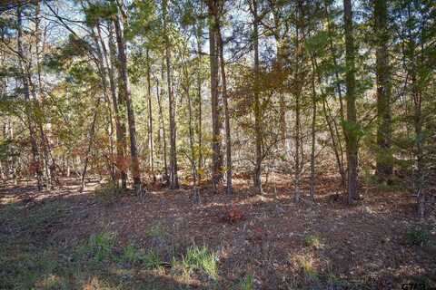 TBD Big Oak Bay Rd Tract 2, Tyler, TX 75707