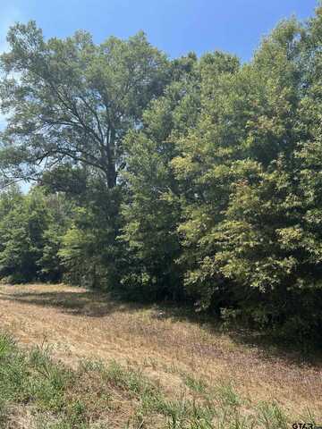 TBD FM 3042, Pittsburg, TX 75686
