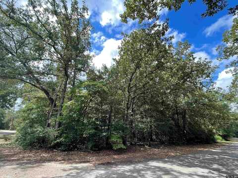 TBD Starleaf Lane, Holly Lake Ranch, TX 75765